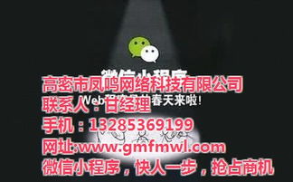 高密網(wǎng)絡(luò)公司專業(yè)推廣與鳳鳴網(wǎng)絡(luò)技術(shù)深度解析 高清視覺營(yíng)銷賦能旅游開發(fā)項(xiàng)目策劃